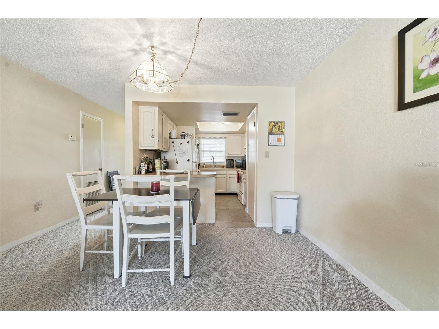 110 N Tremain Street #109 Mount Dora FL 32757 G5108160 image9