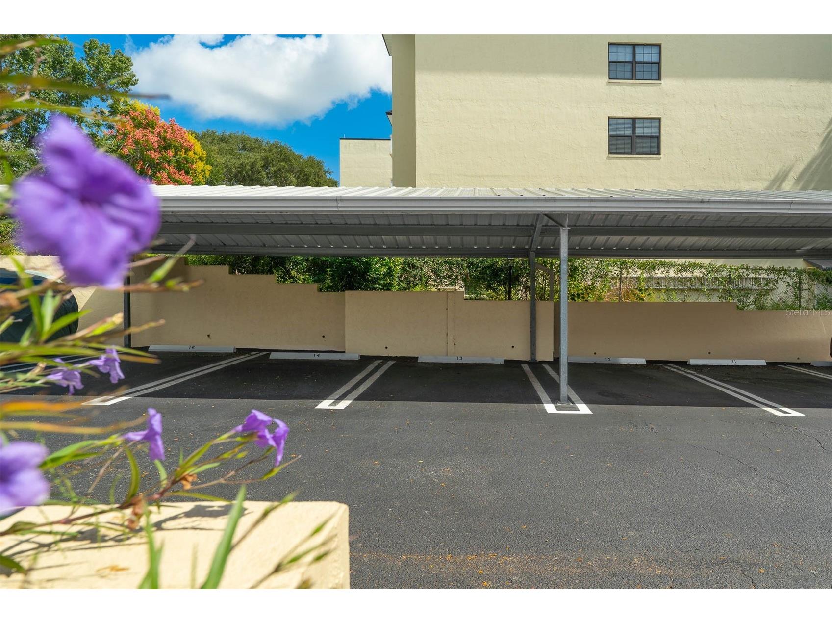 110 N Tremain Street #209 Mount Dora FL 32757 O6416381 image15
