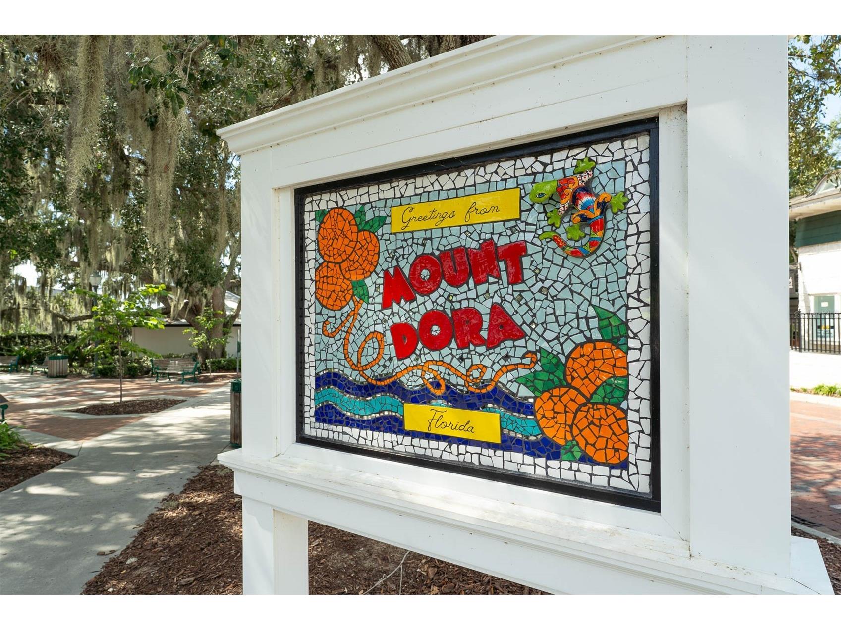 110 N Tremain Street #209 Mount Dora FL 32757 O6416381 image18