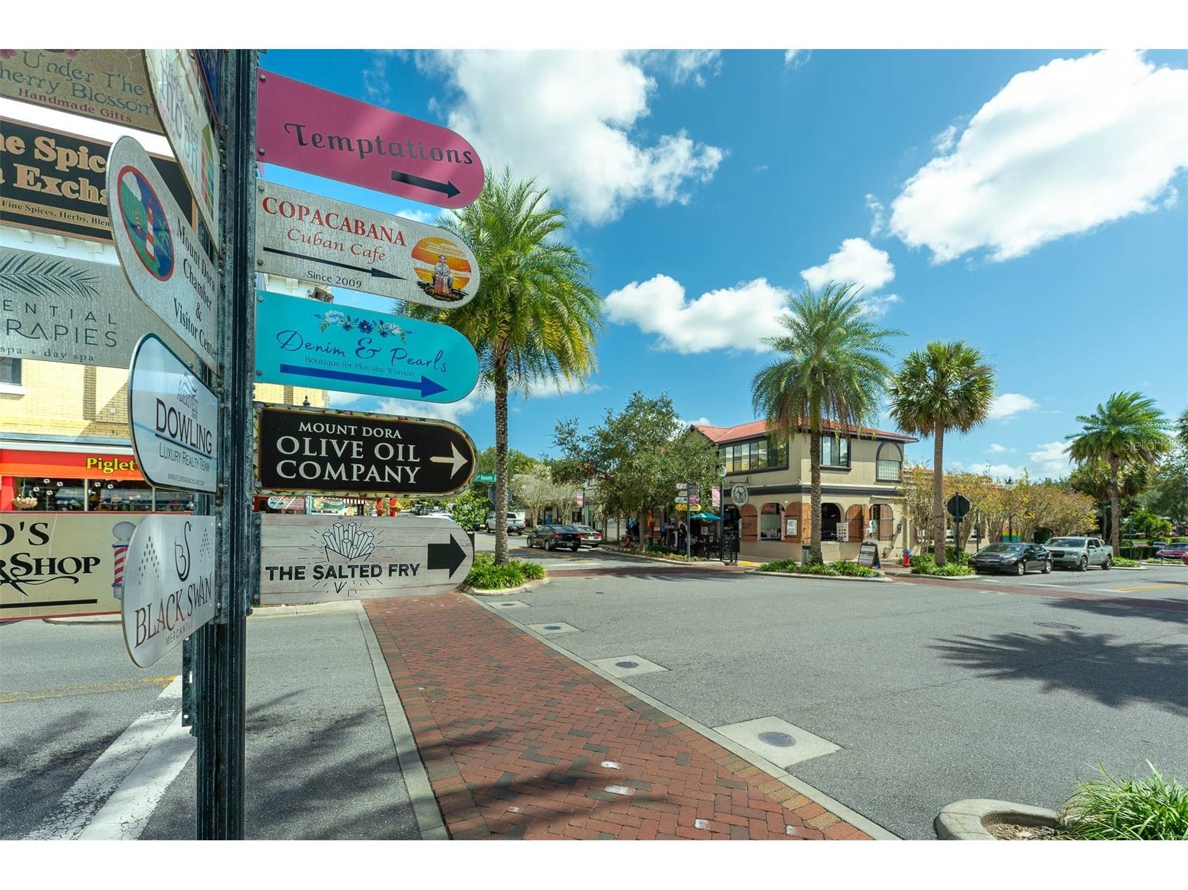 110 N Tremain Street #209 Mount Dora FL 32757 O6416381 image19