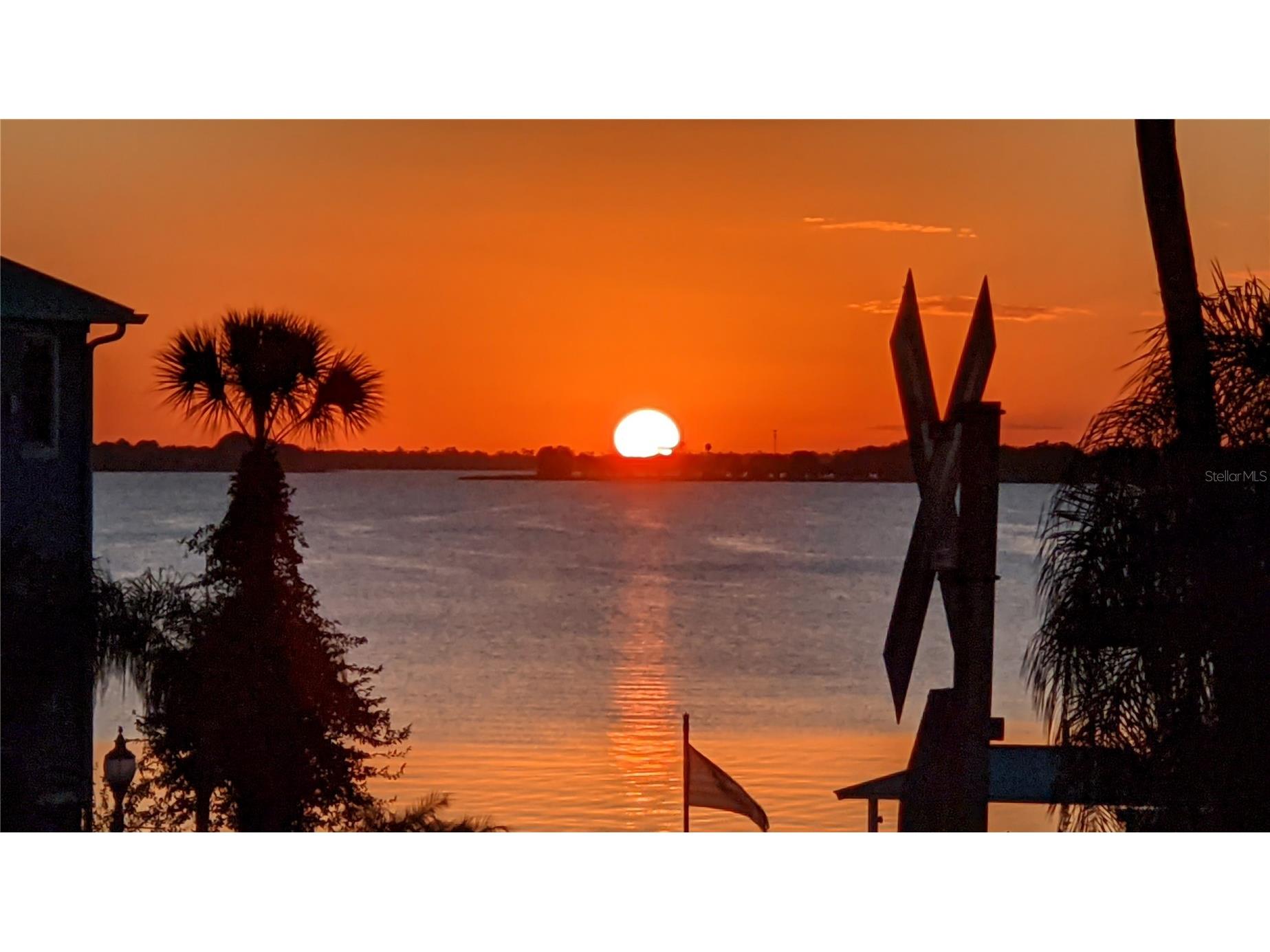 110 N Tremain Street #209 Mount Dora FL 32757 O6416381 image21