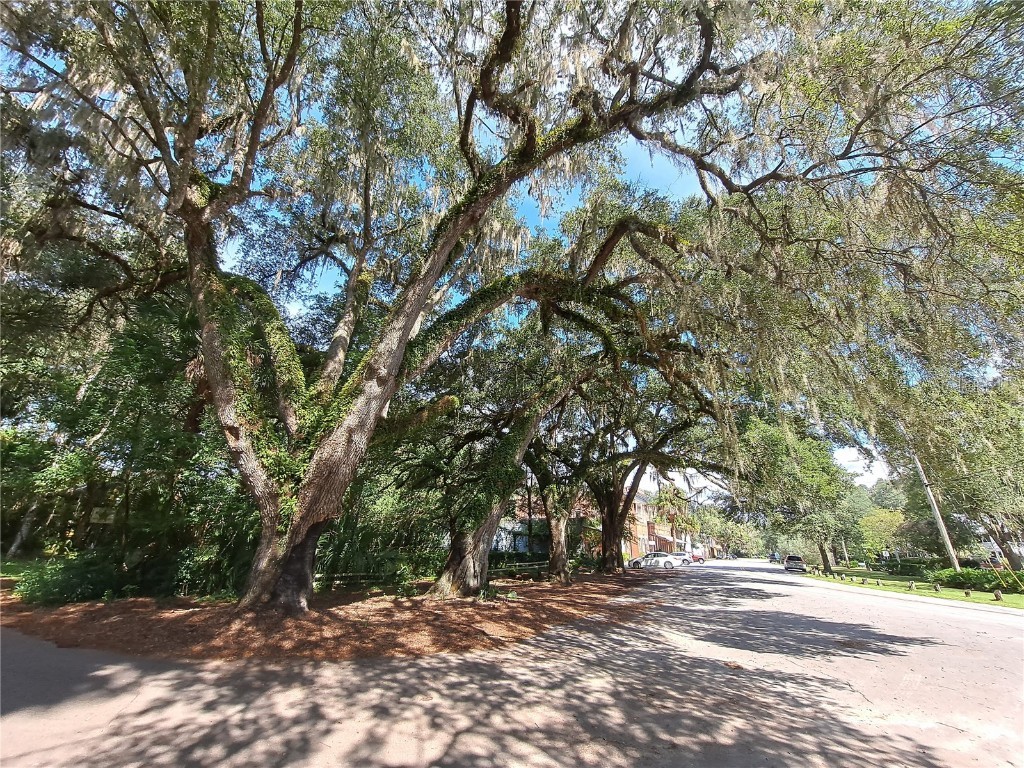 110 NE 1st Street Micanopy FL 32667 GC508115 image11