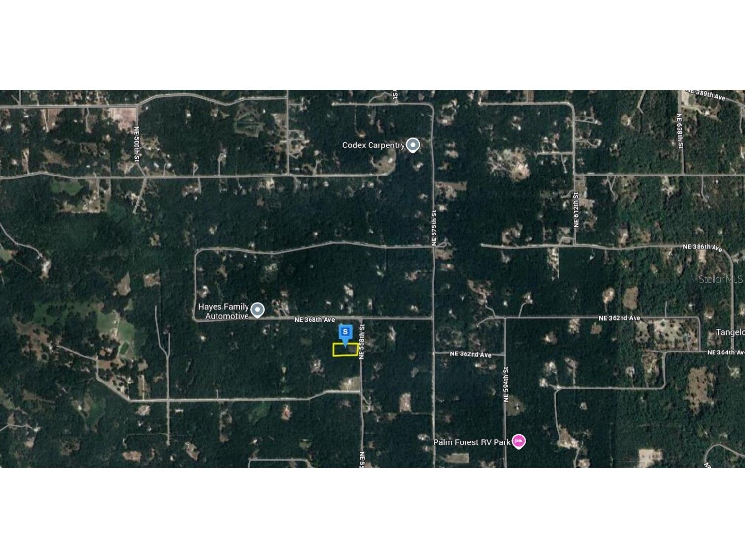 110 NE 558th Street Old Town FL 32680 A4677324 image3