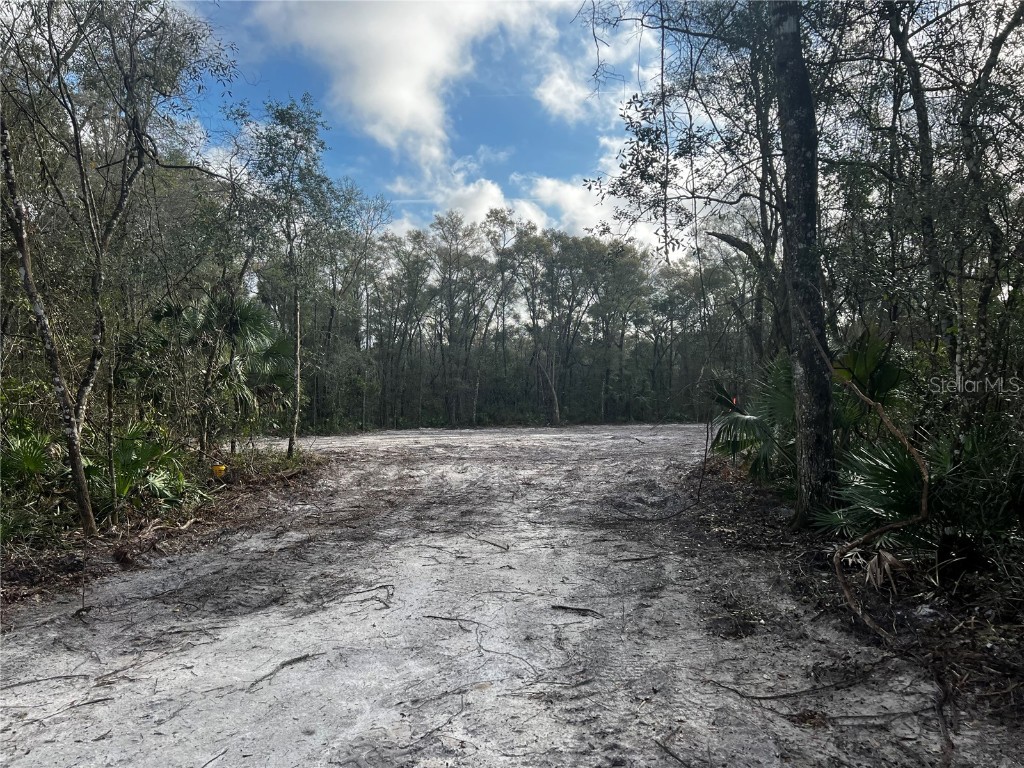 110 NE 594th Street Old Town FL 32680 O6091911 image1