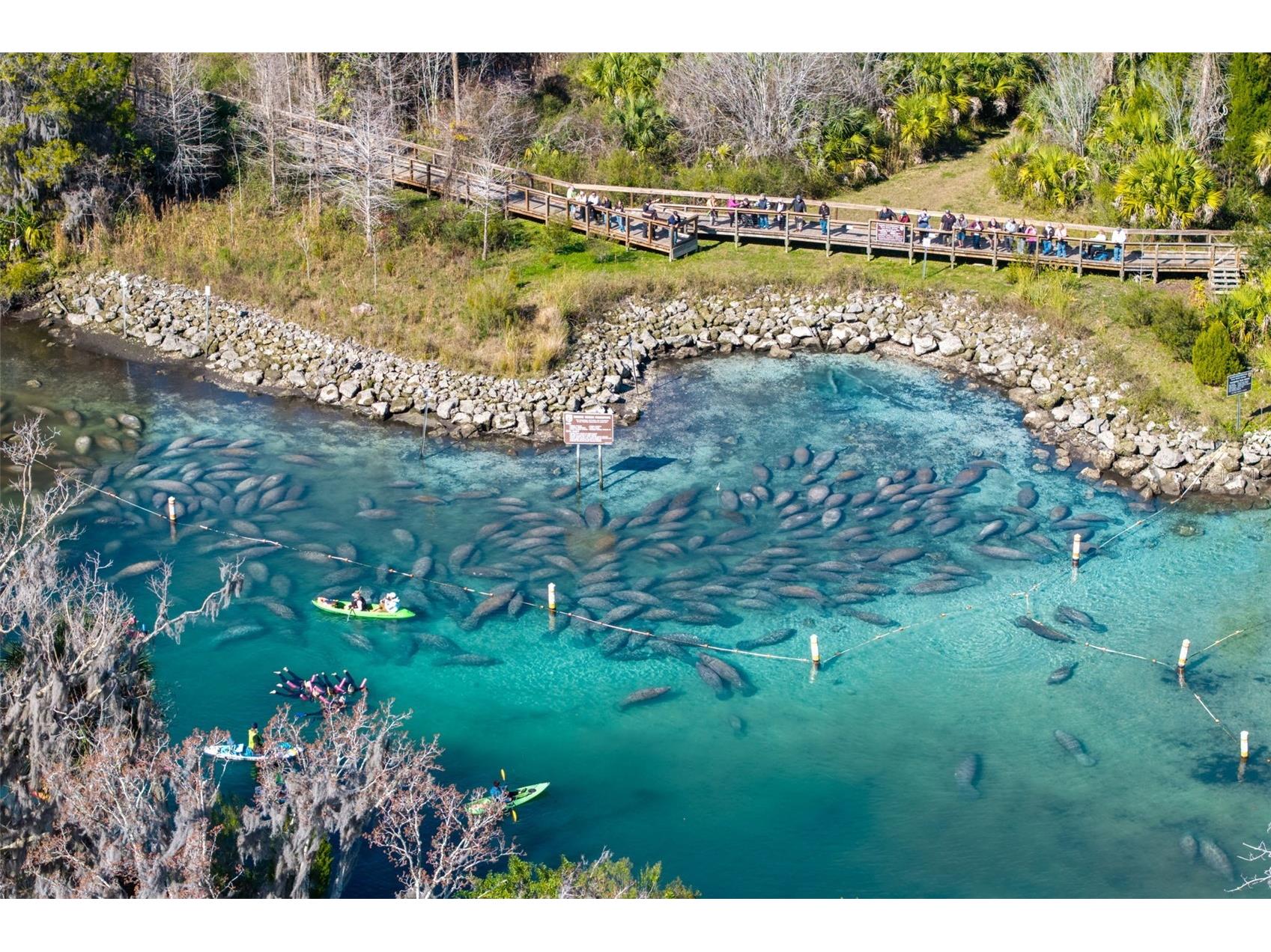 110 NE Crystal Street Crystal River FL 34428 OM719620 image37