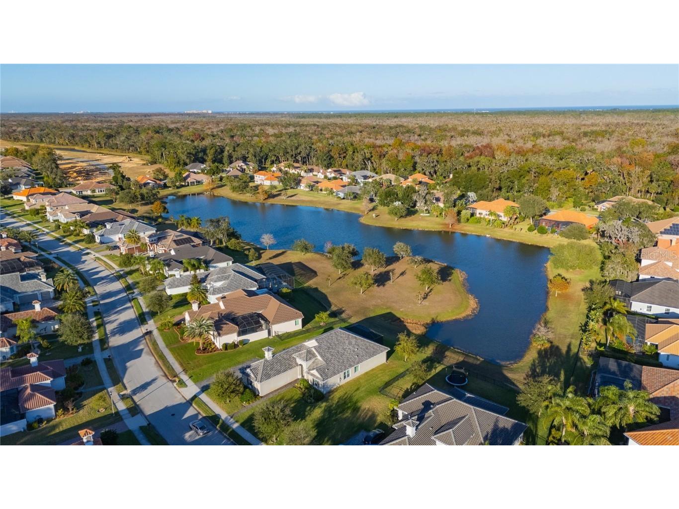 110 New Leatherwood Drive Palm Coast FL 32137 FC314798 image41