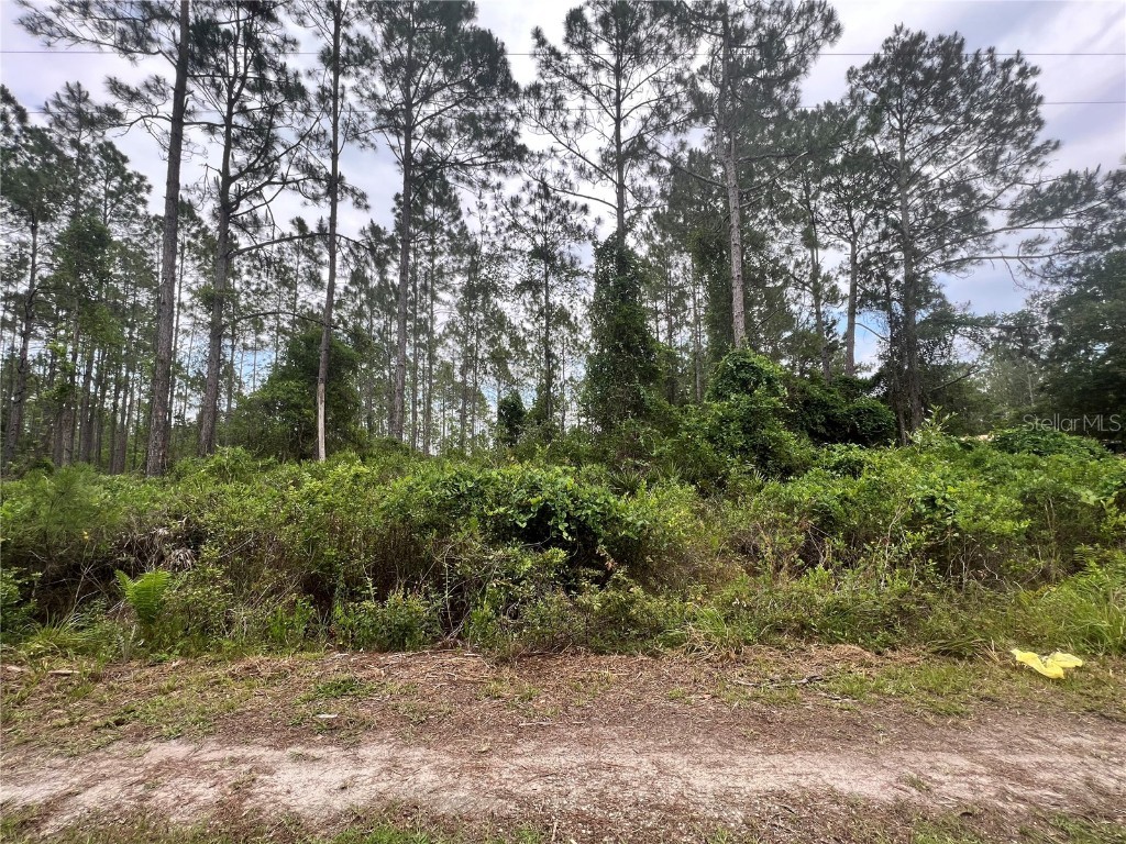 110 Nutmeg Trail Interlachen FL 32148 GC513360 image1