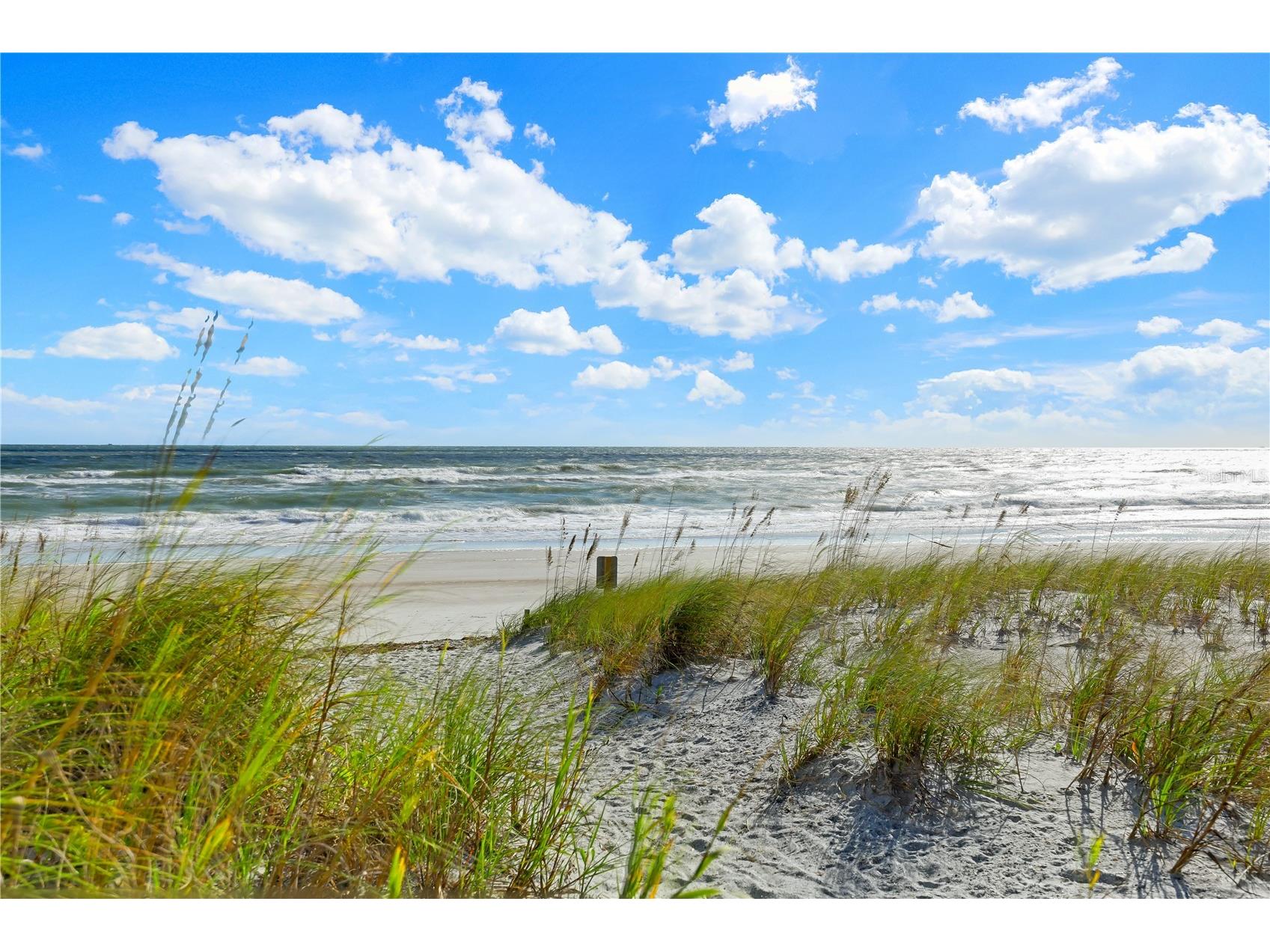 110 Ocean Hollow Lane #101 Saint Augustine FL 32084 FC317479 image3