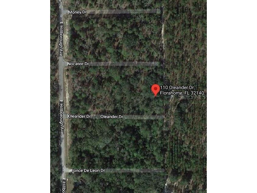 110 Oleander Drive Florahome FL 32140 OM631097 image2