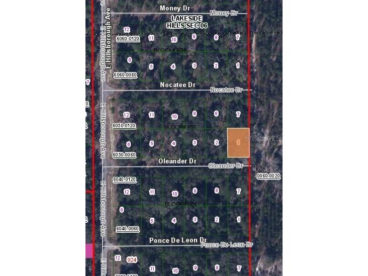 110 Oleander Drive Florahome FL 32140 OM631097 image3