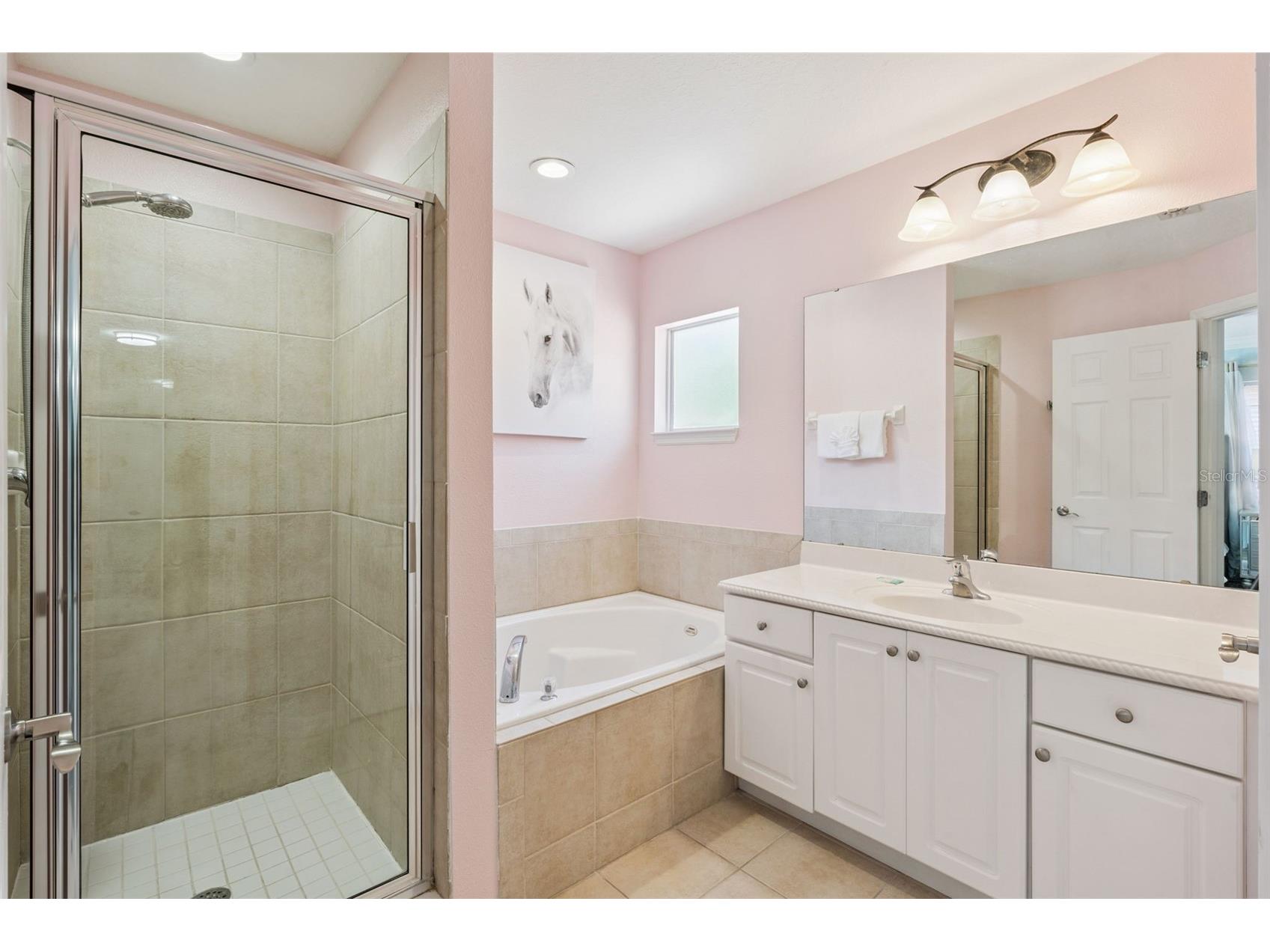 110 Orange Cosmos Boulevard Davenport FL 33837 G5110374 image47