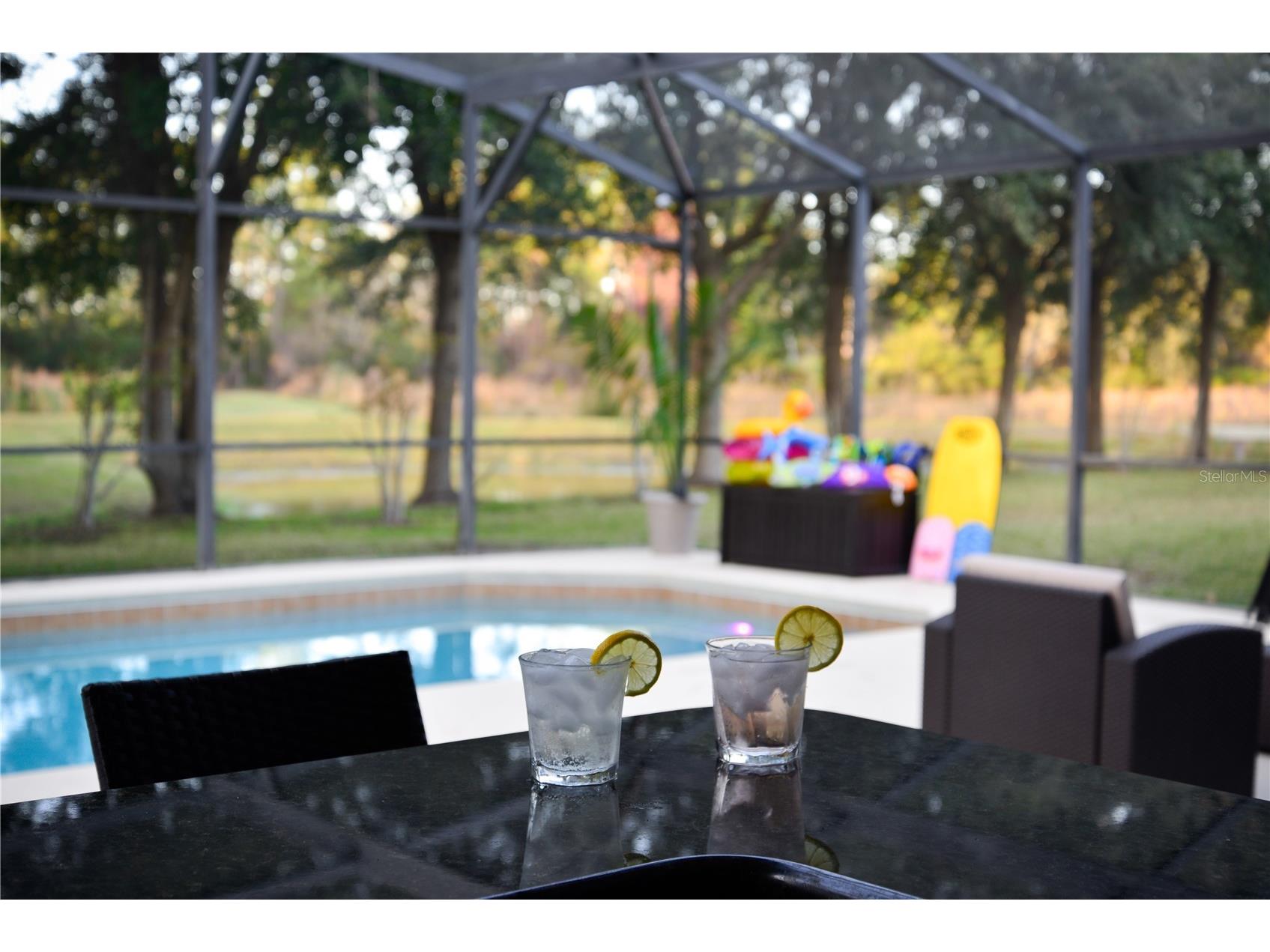 110 Orange Cosmos Boulevard Davenport FL 33837 G5110374 image9