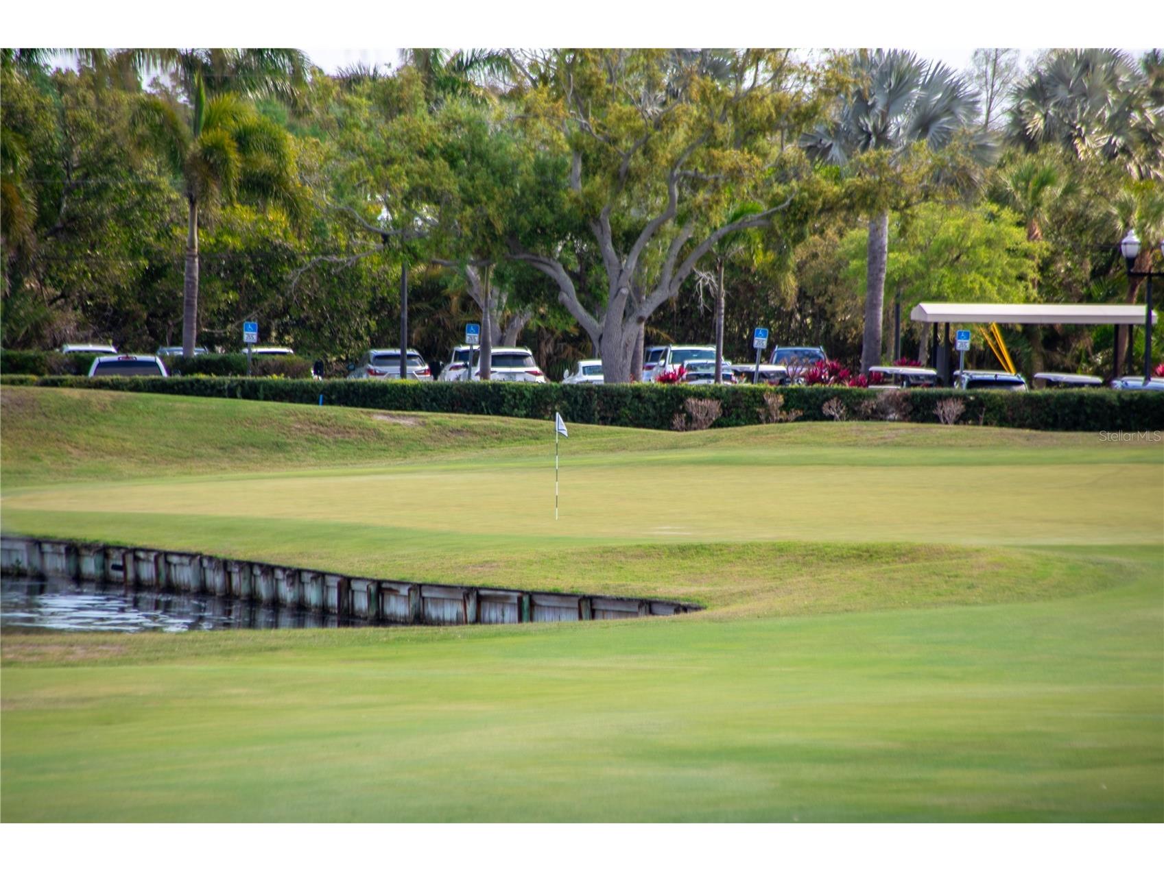 110 Palmera Boulevard NE Saint Petersburg FL 33704 TB8499982 image81