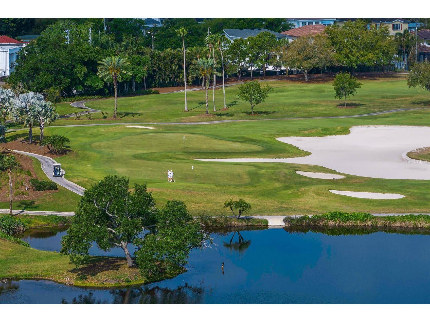 110 Palmera Boulevard NE Saint Petersburg FL 33704 TB8499982 image95