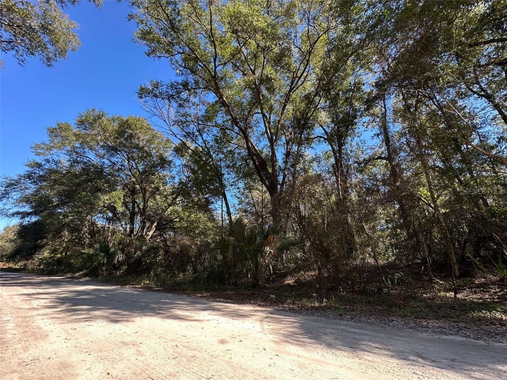 110 Richmond Street Satsuma FL 32189 FC306174 image1