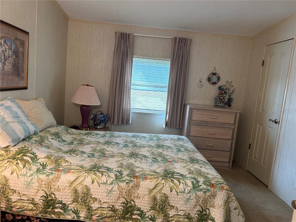 110 Rita Bee Avenue Davenport FL 33897 - LAKE DAVENPORT O6346299 image11