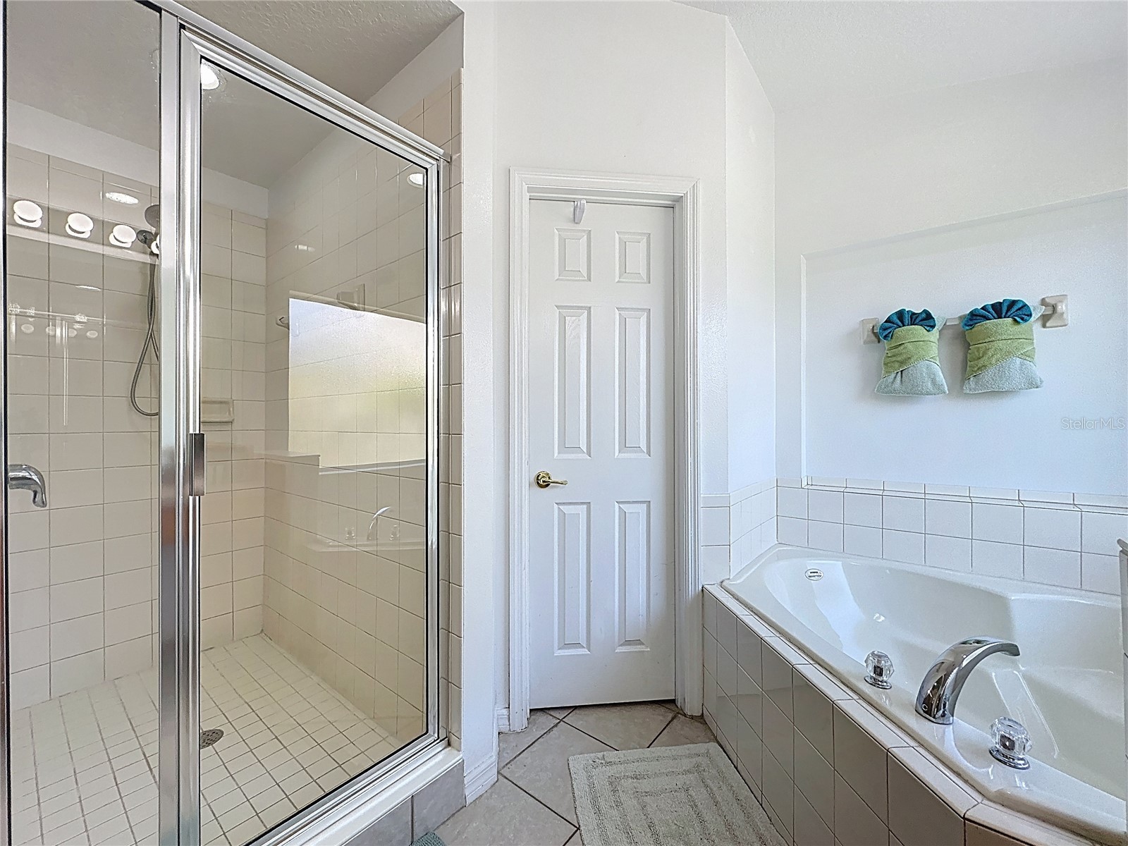 110 Rubino Drive Davenport FL 33837 S5145660 image27