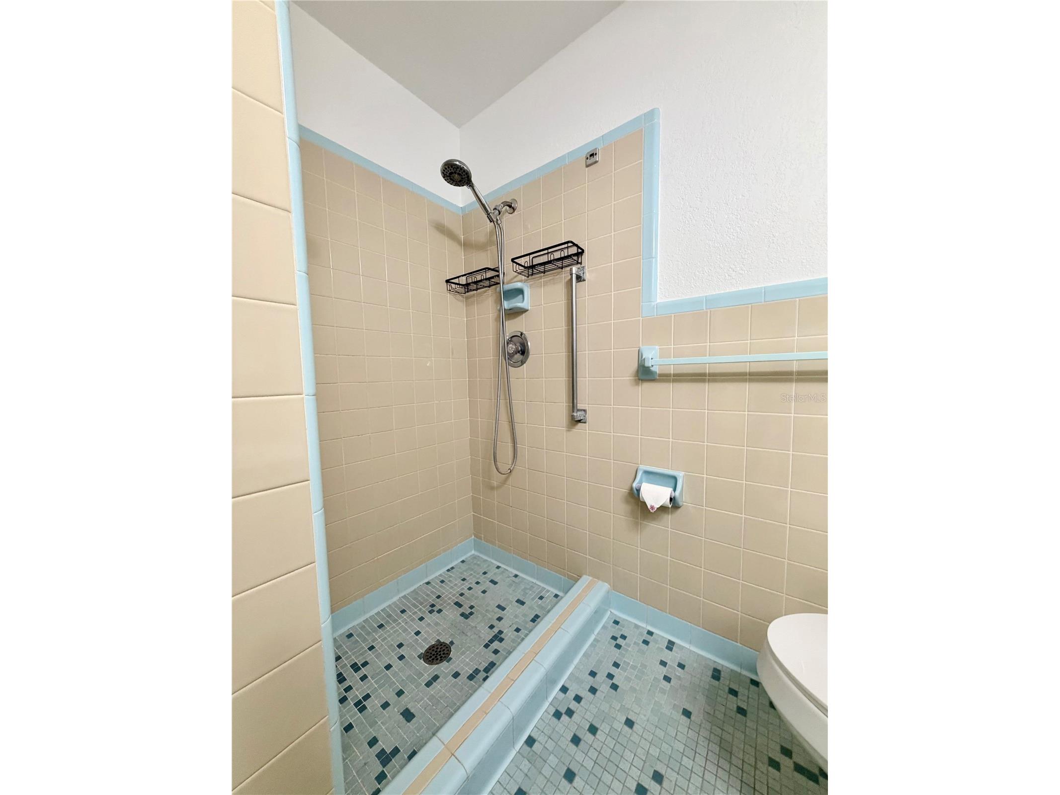 110 S Corona Avenue Clearwater FL 33765 TB8476182 image12
