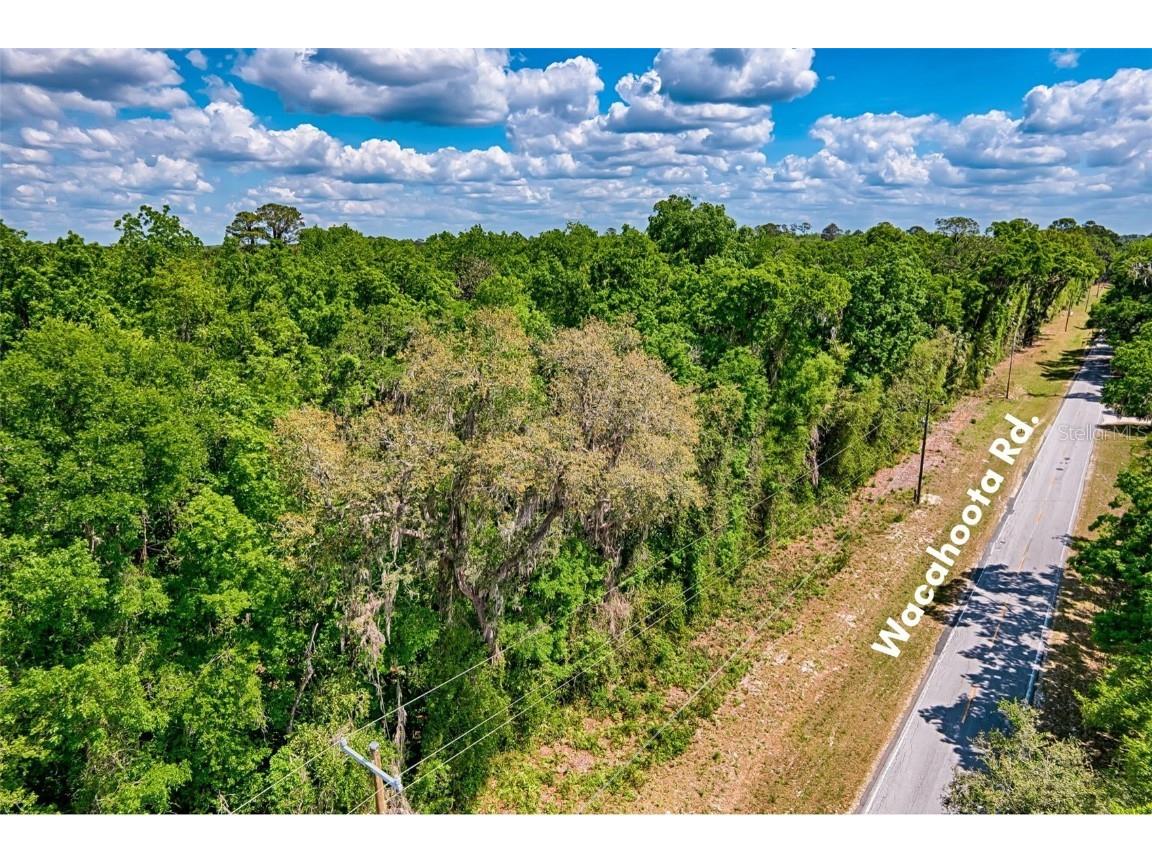 110 SE Wacahoota Road Micanopy FL 32667 GC529631 image10