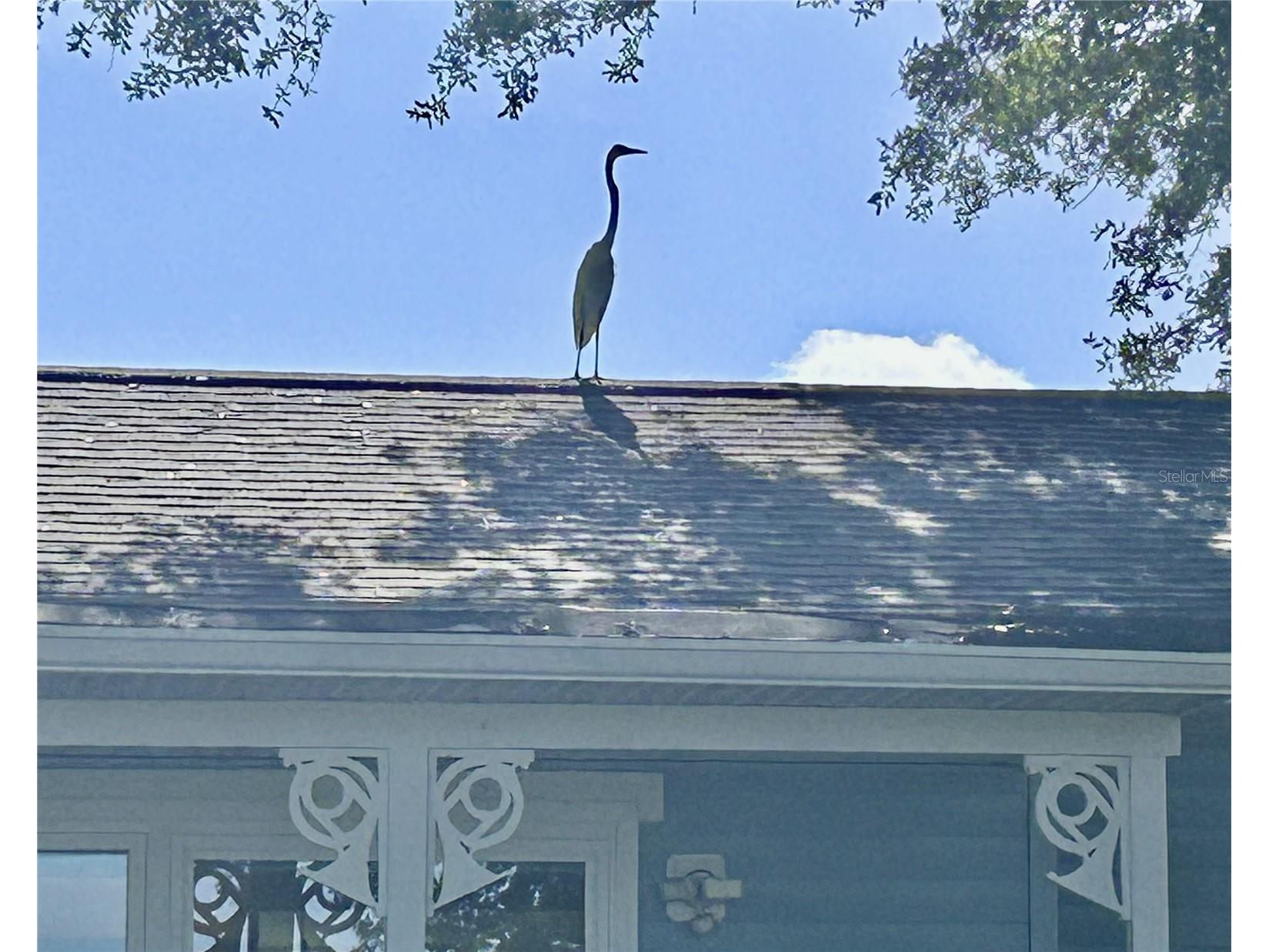 110 Sunset Drive S Saint Petersburg FL 33707 TB8519370 image4