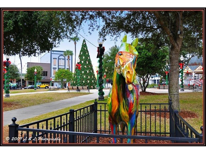 110 SW Ft King Ocala FL 34471 OM707230 image5