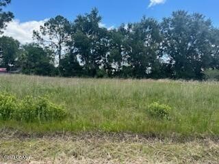 110 W Camelot Drive Palatka FL 32177 V4937952 image1