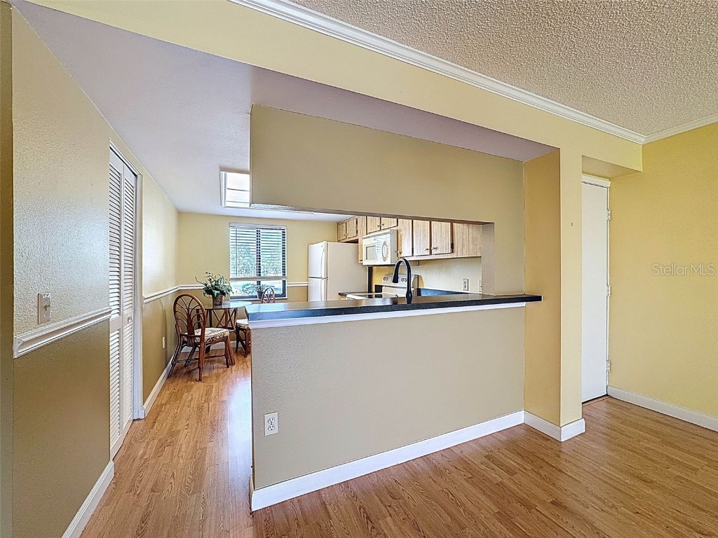 110 W Cypress Court Oldsmar FL 34677 TB8368918 image11