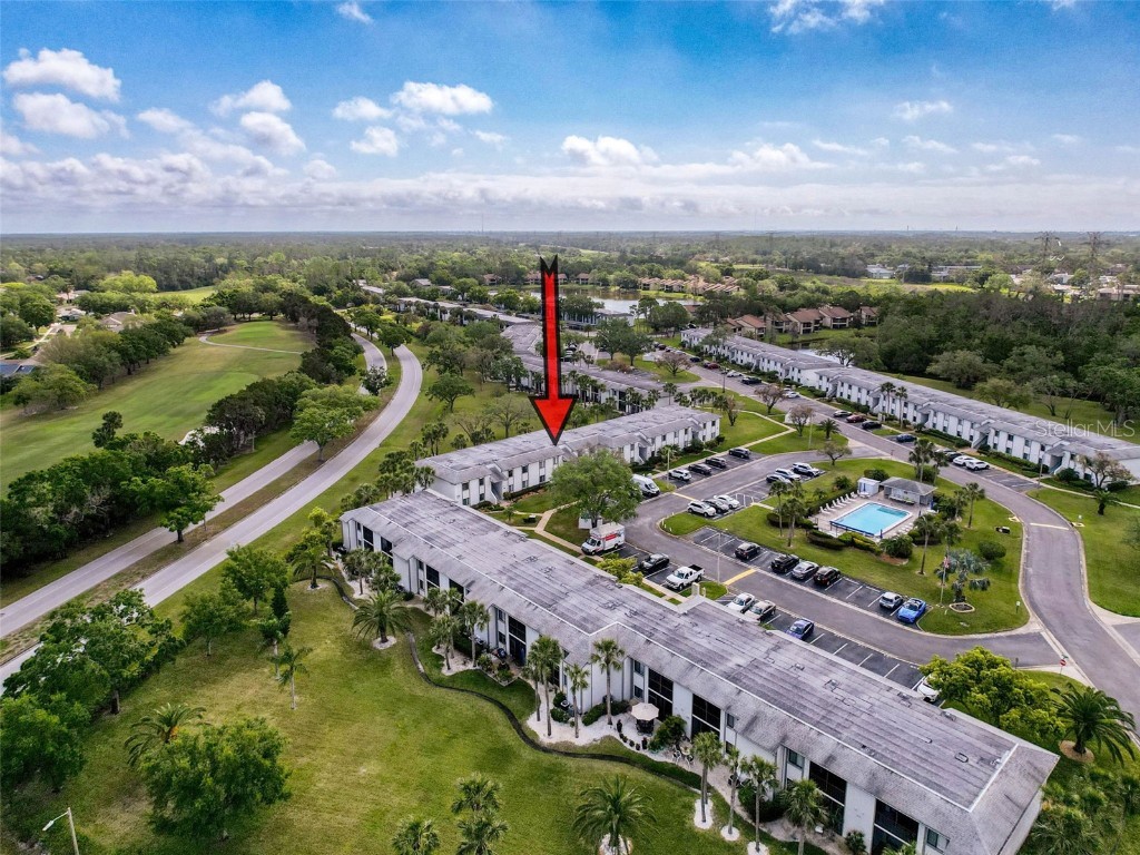 110 W Cypress Court Oldsmar FL 34677 TB8368918 image38