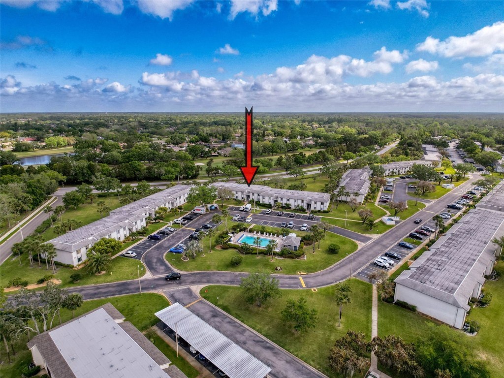 110 W Cypress Court Oldsmar FL 34677 TB8368918 image41