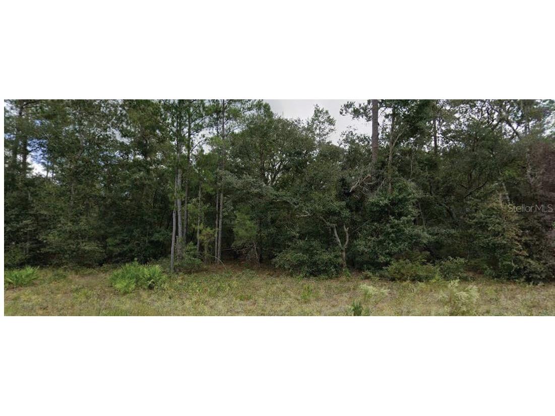 110 W Hillsborough Avenue Florahome FL 32140 O6341556 image1