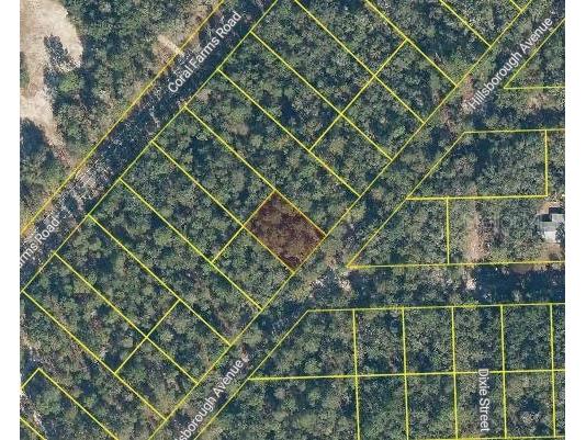 110 W Hillsborough Avenue Florahome FL 32140 O6341556 image2