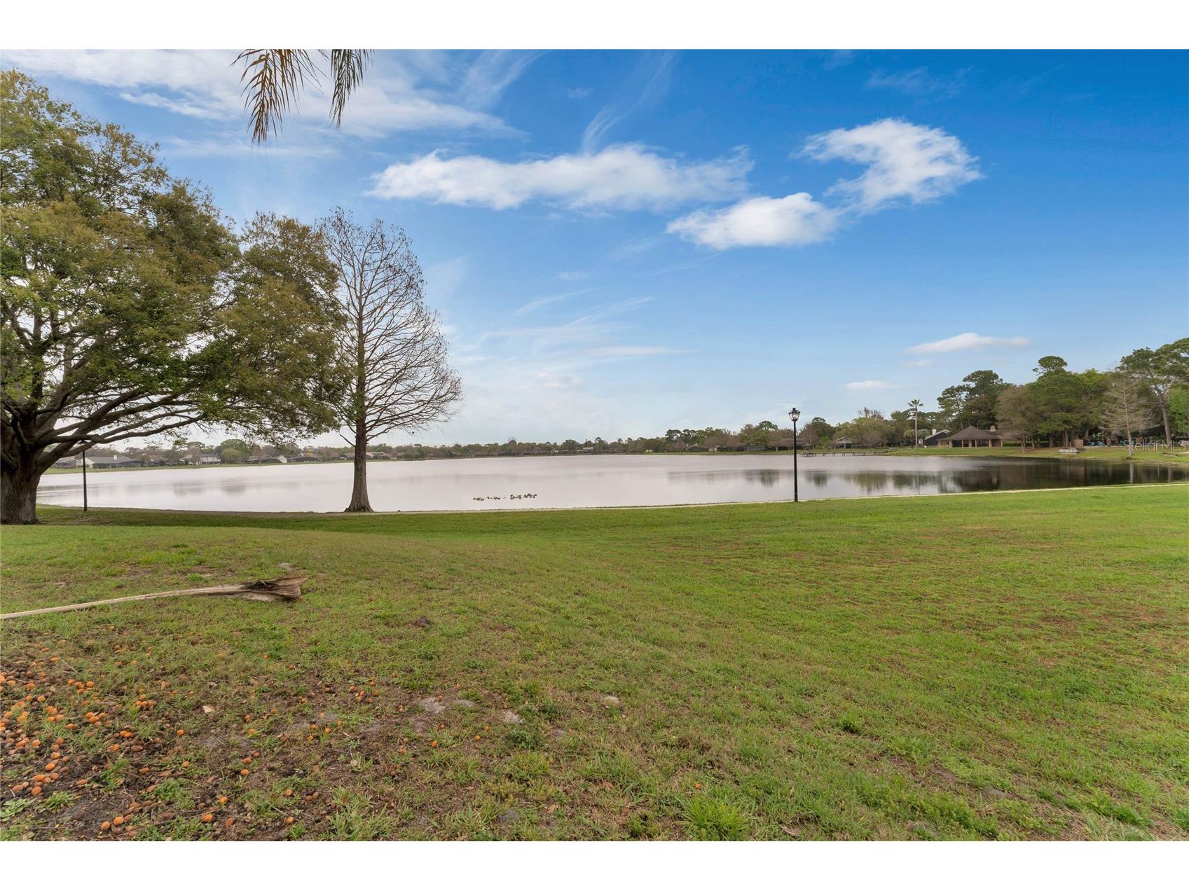 110 Whitley Bay Lane Longwood FL 32779 - Sand Lake O6413710 image63