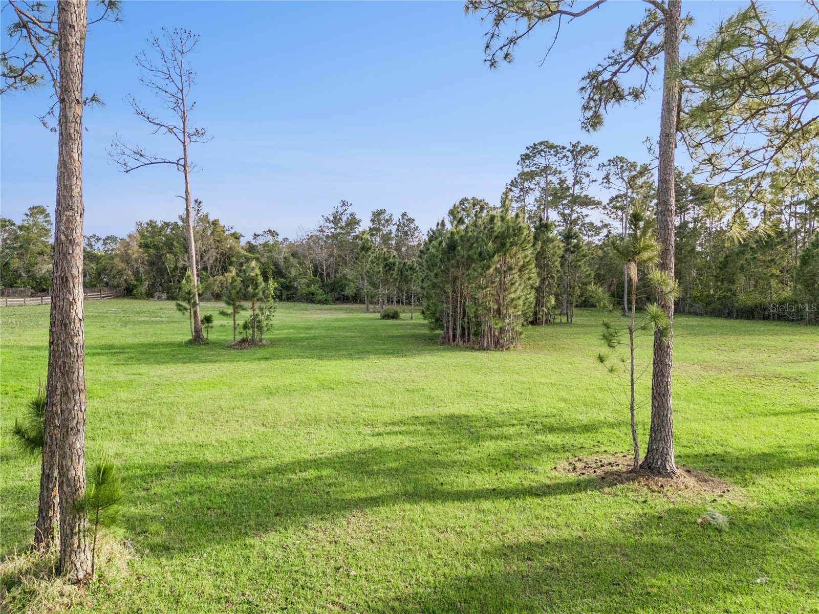110 Wild Horse Run Deltona FL 32738 O6396345 image4