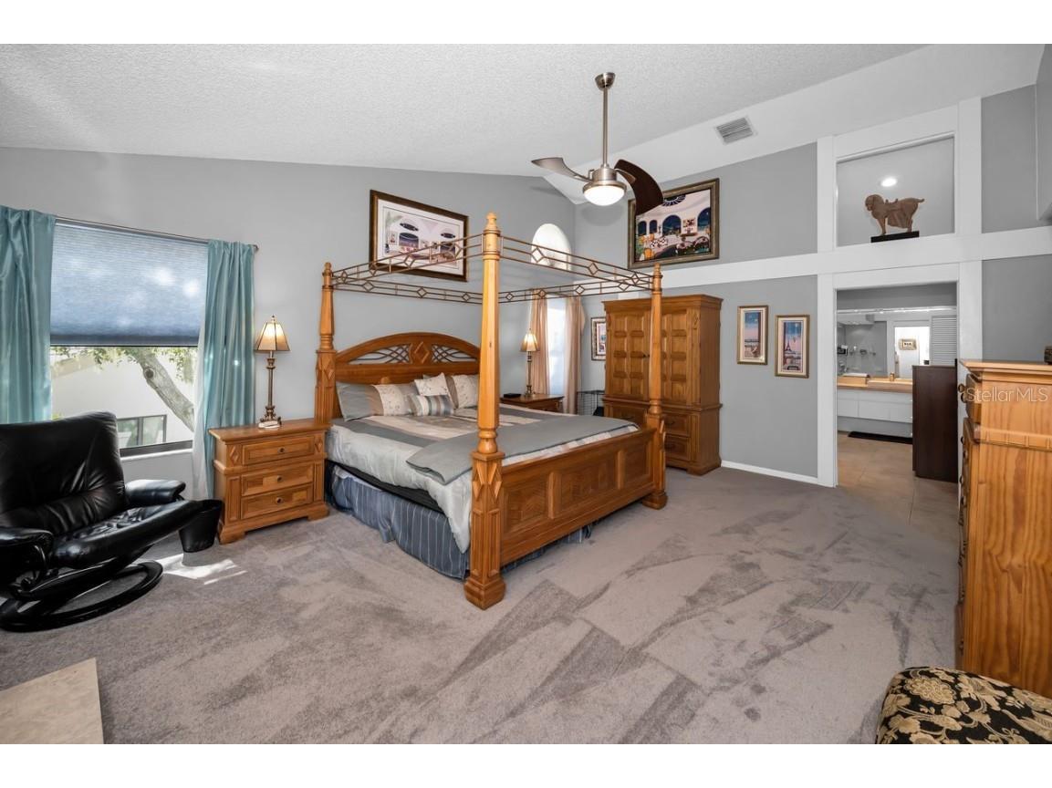 110 Woodcreek Drive S Safety Harbor FL 34695 TB8413446 image26