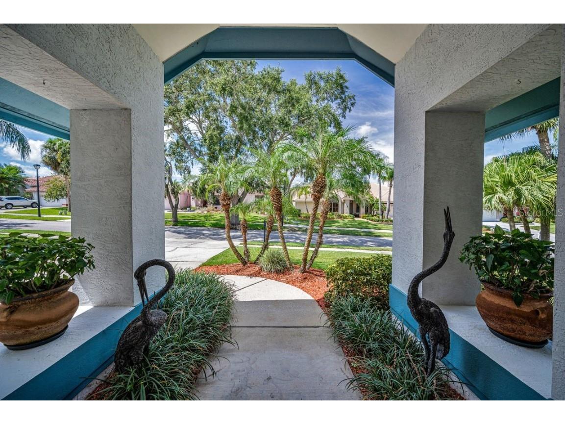 110 Woodcreek Drive S Safety Harbor FL 34695 TB8413446 image3