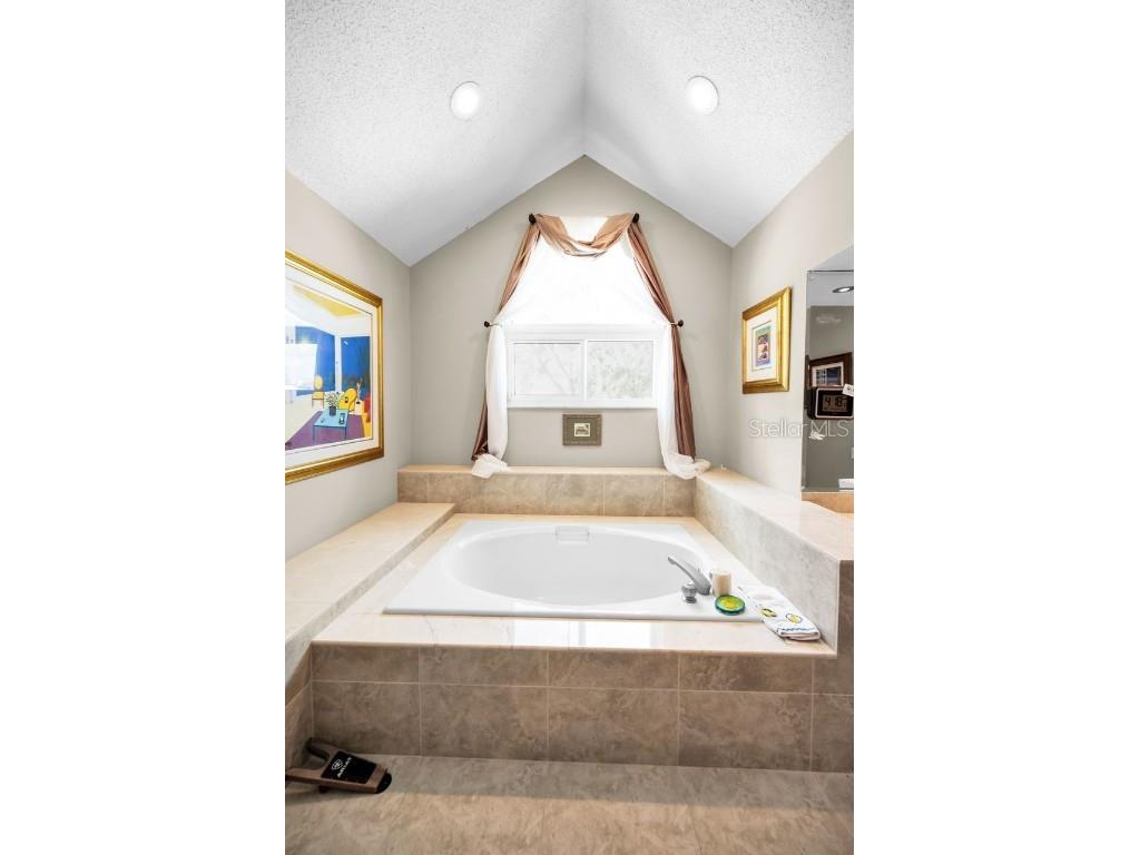 110 Woodcreek Drive S Safety Harbor FL 34695 TB8413446 image32