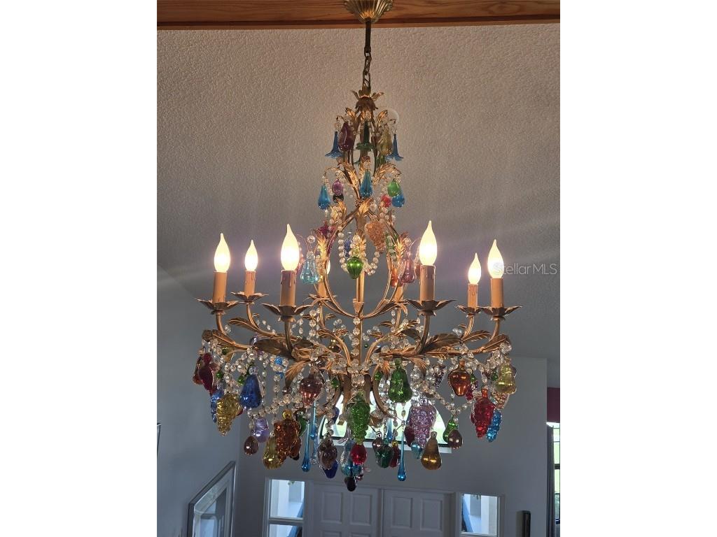 110 Woodcreek Drive S Safety Harbor FL 34695 TB8413446 image7