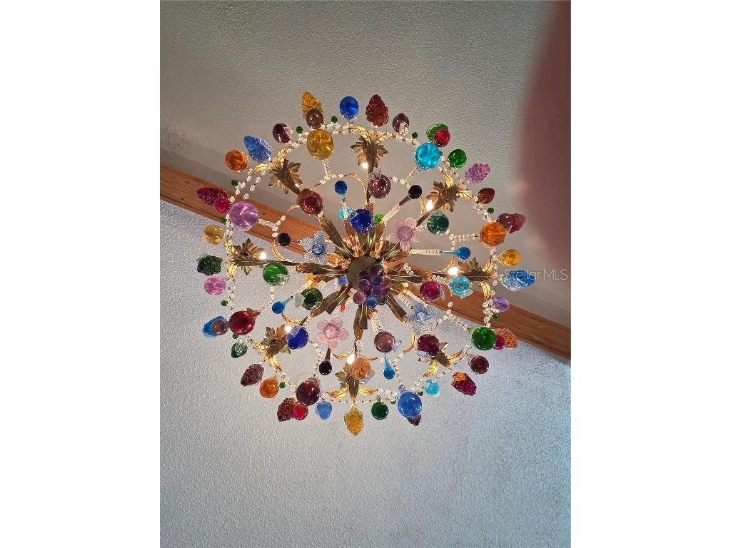 110 Woodcreek Drive S Safety Harbor FL 34695 TB8413446 image8