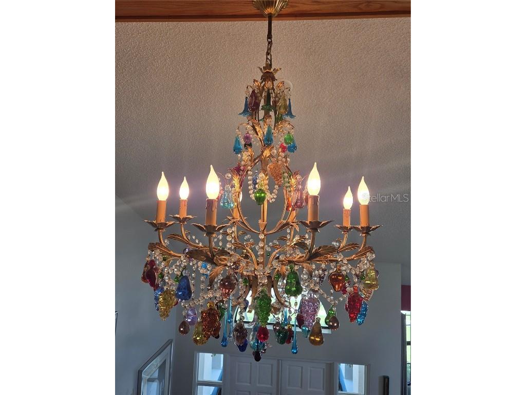 110 Woodcreek Drive S Safety Harbor FL 34695 TB8413446 image9