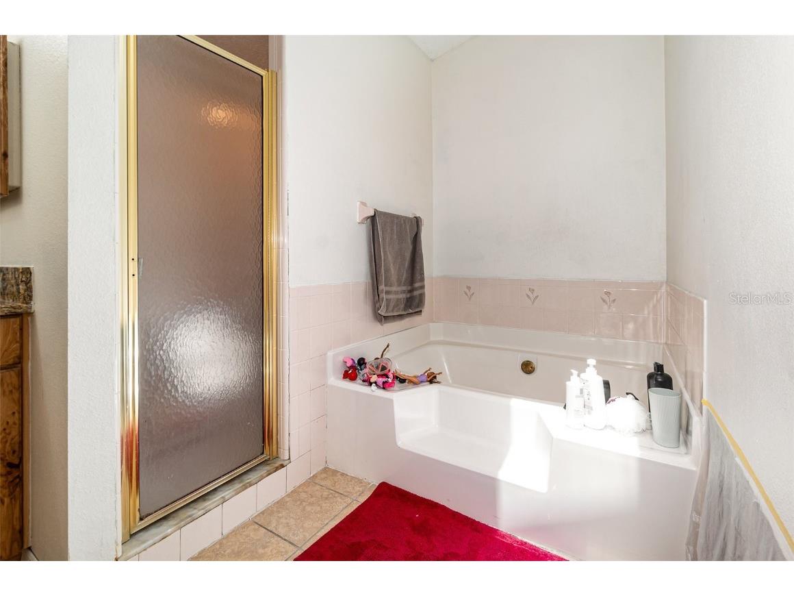 1100 Anne Elisa Circle Saint Cloud FL 34772 S5126026 image16