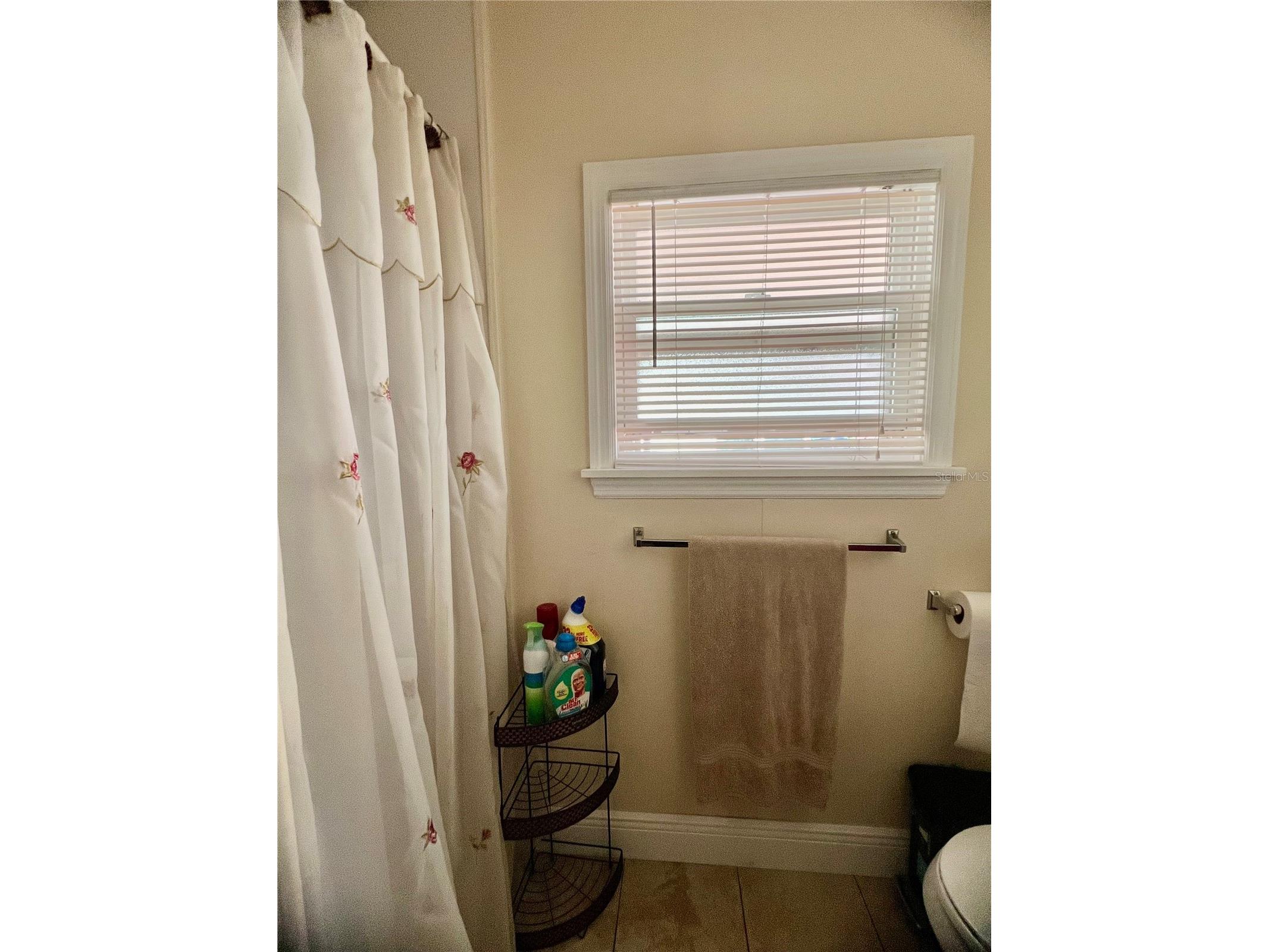 1100 Belcher Road S #113 Largo FL 33771 TB8468439 image18