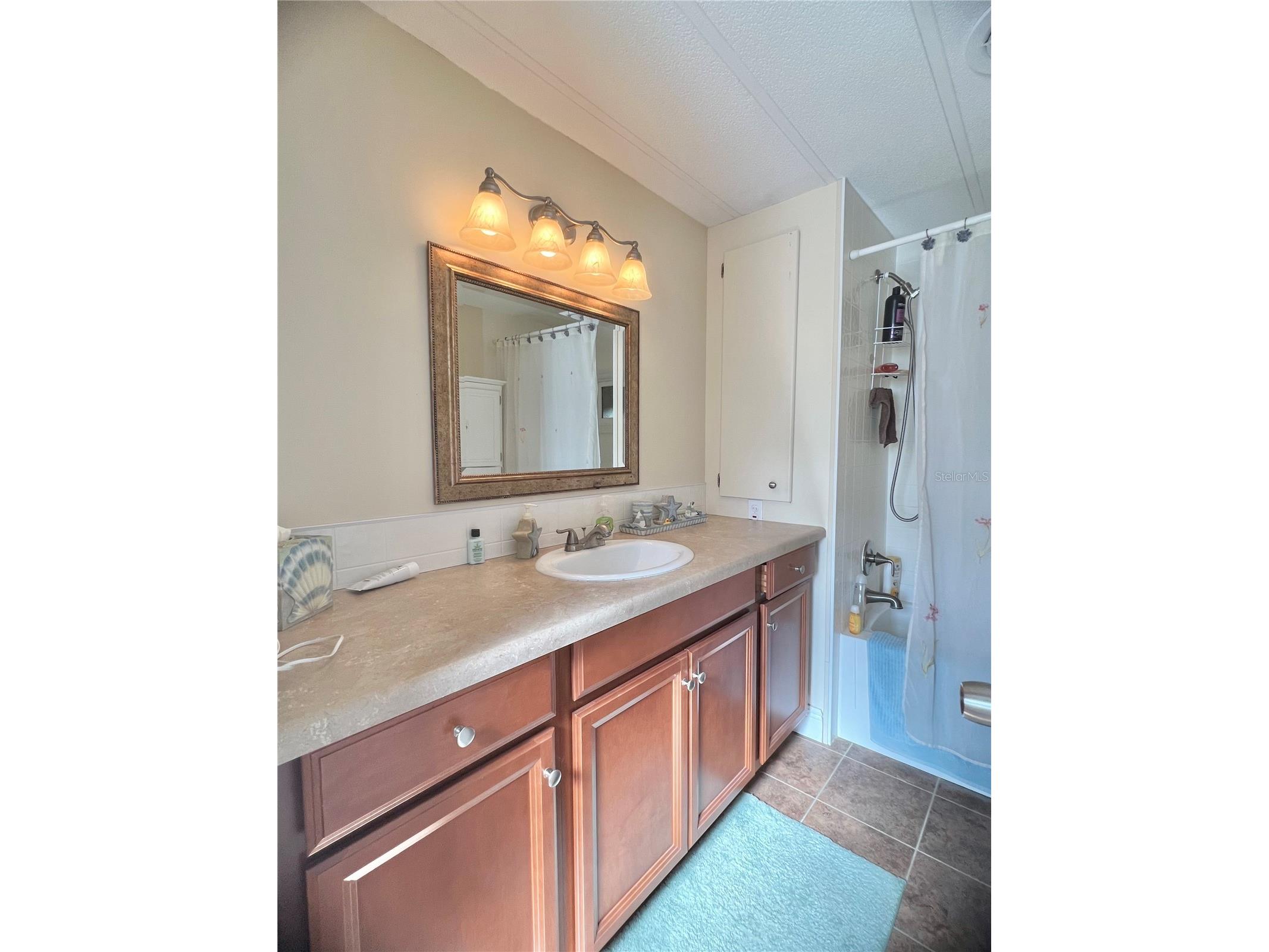 1100 Belcher Road S #113 Largo FL 33771 TB8468439 image28