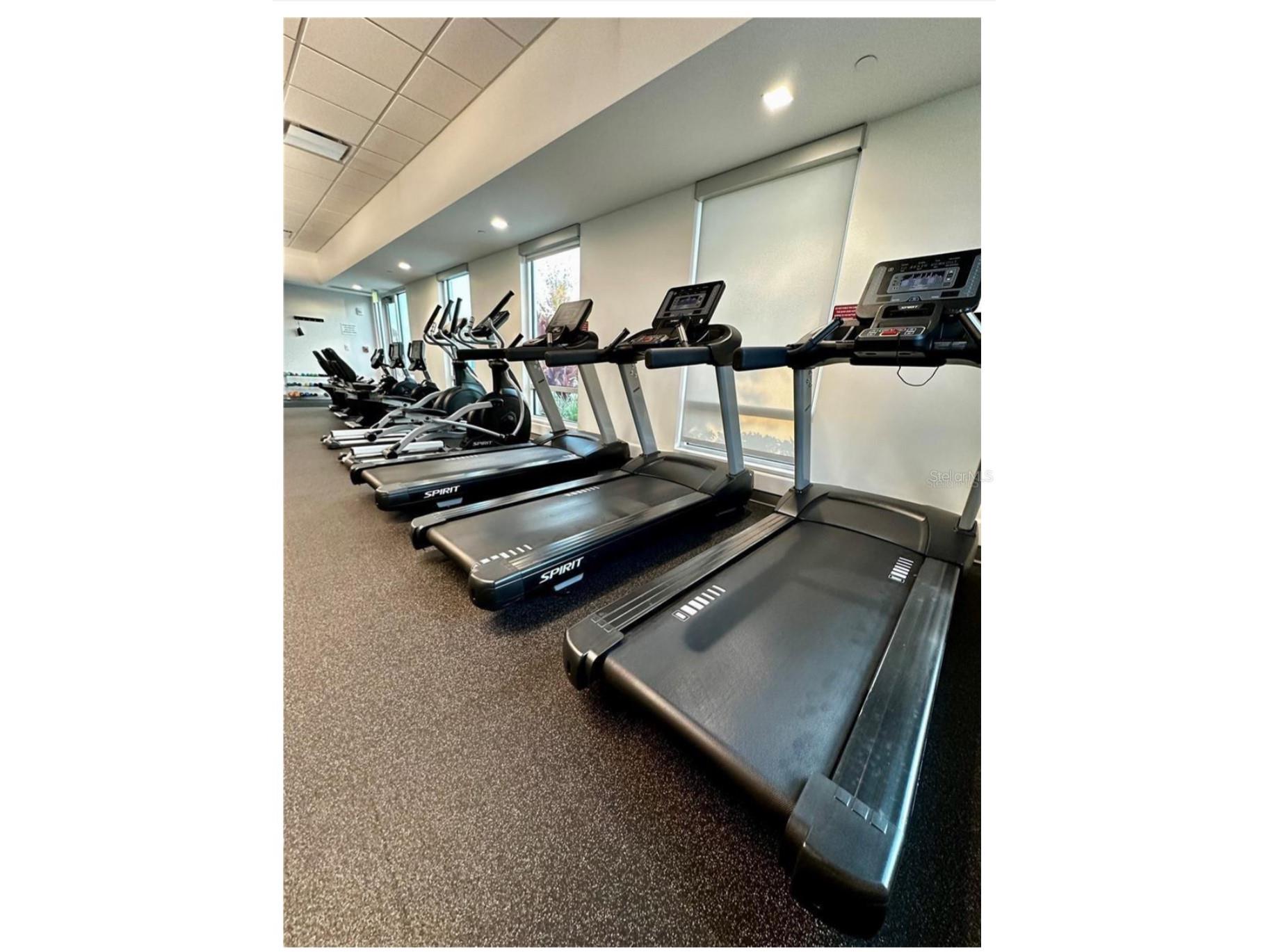 1100 Belcher Road S #152 Largo FL 33771 TB8468069 image17