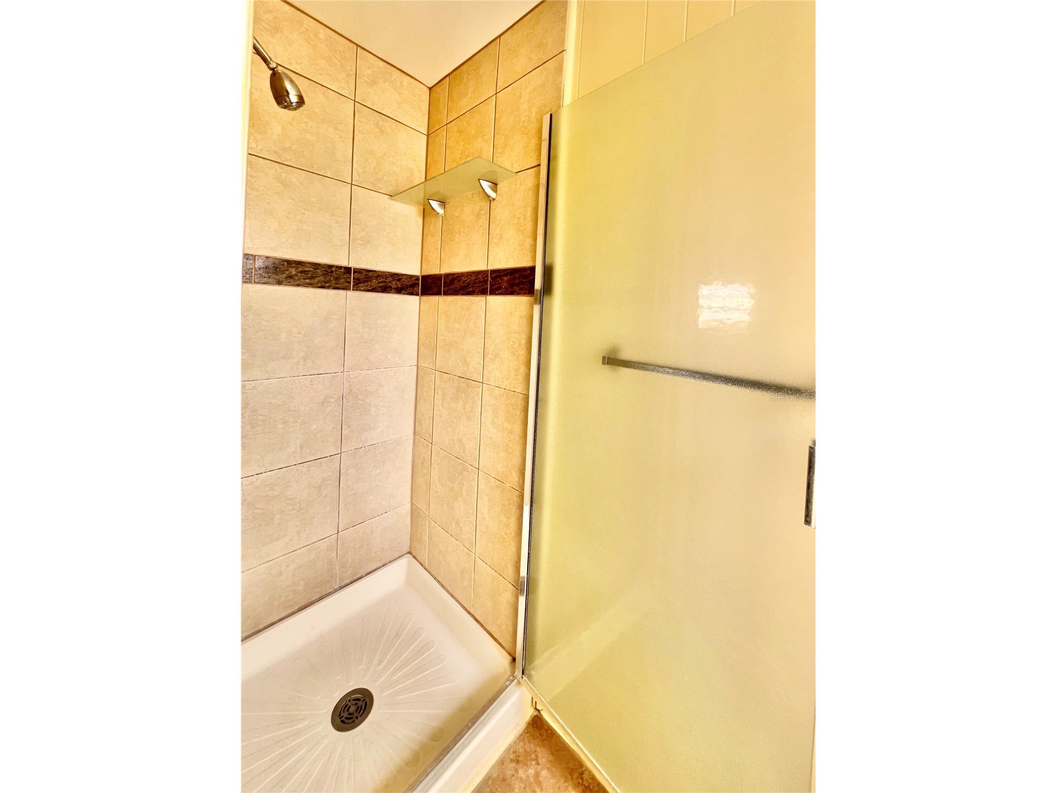 1100 Belcher Road S #185 Largo FL 33771 TB8466940 image15