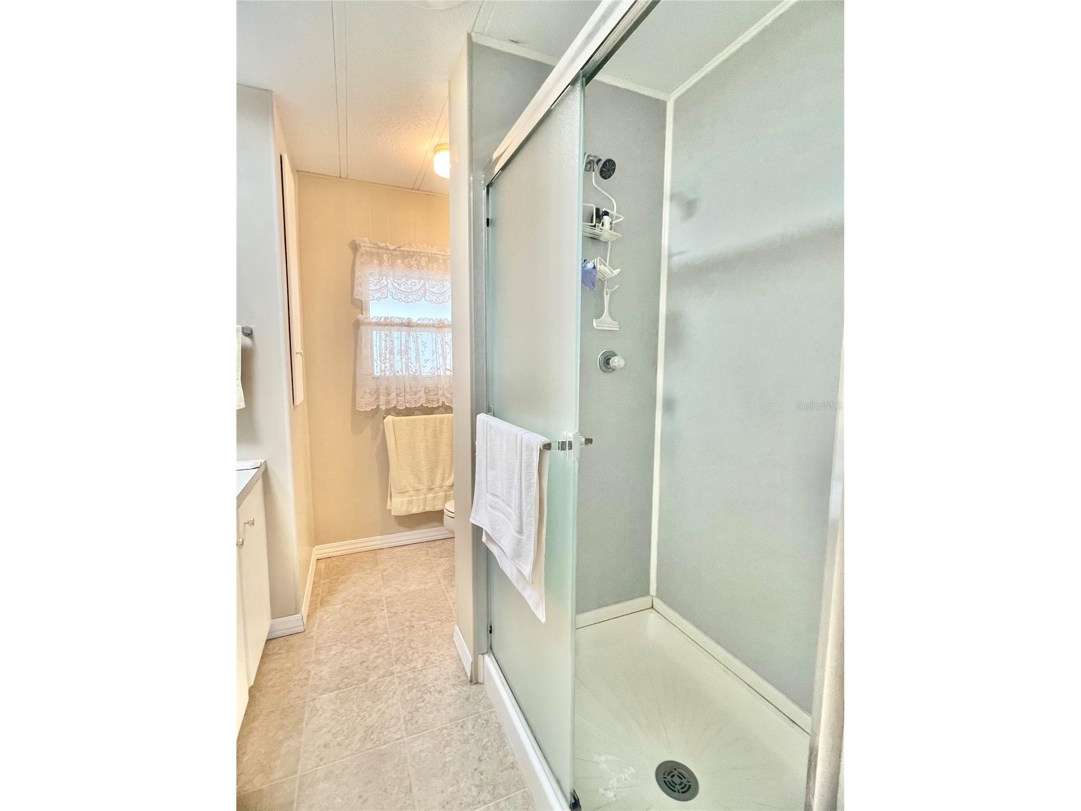 1100 Belcher Road S #197 Largo FL 33771 TB8484797 image11