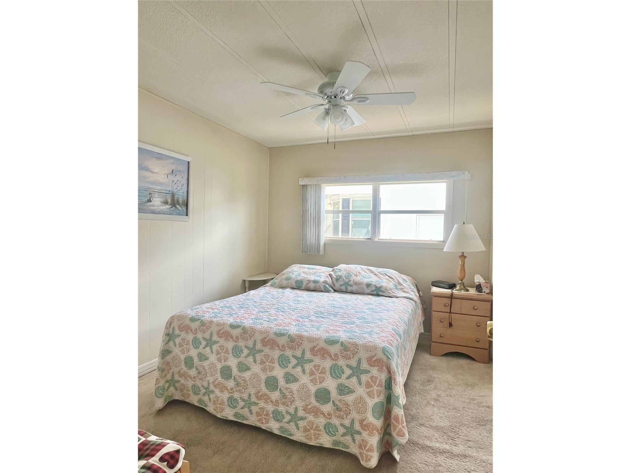 1100 Belcher Road S #197 Largo FL 33771 TB8484797 image20