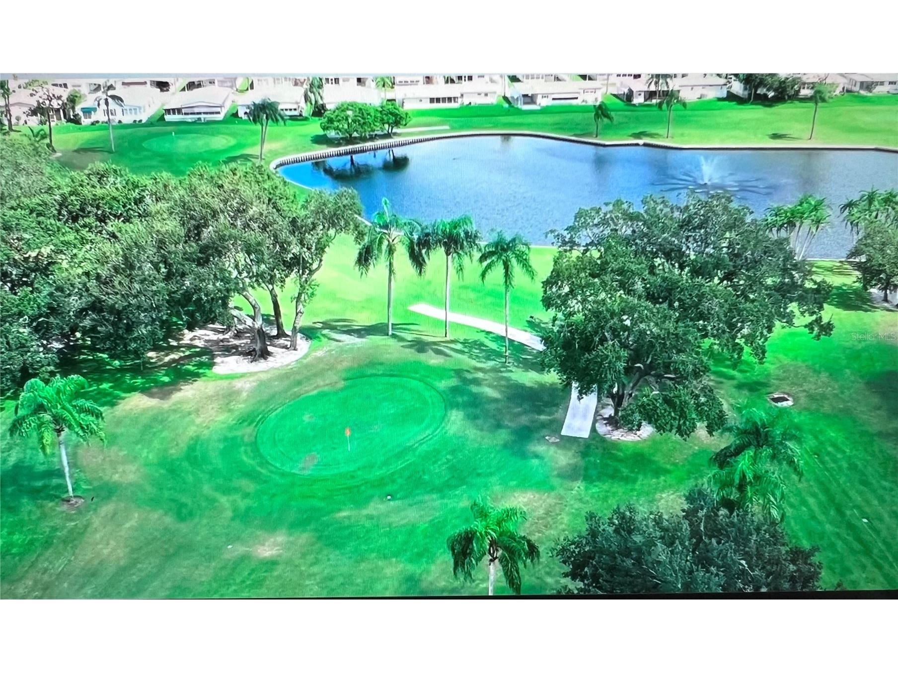 1100 Belcher Road S #197 Largo FL 33771 TB8484797 image31