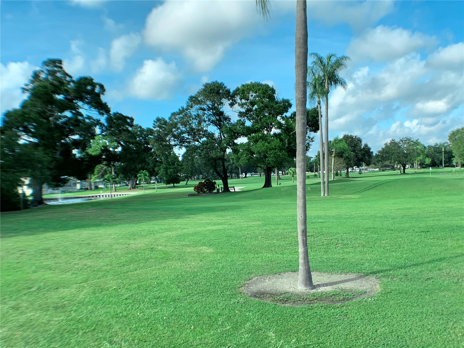 1100 Belcher Road S #197 Largo FL 33771 TB8484797 image35