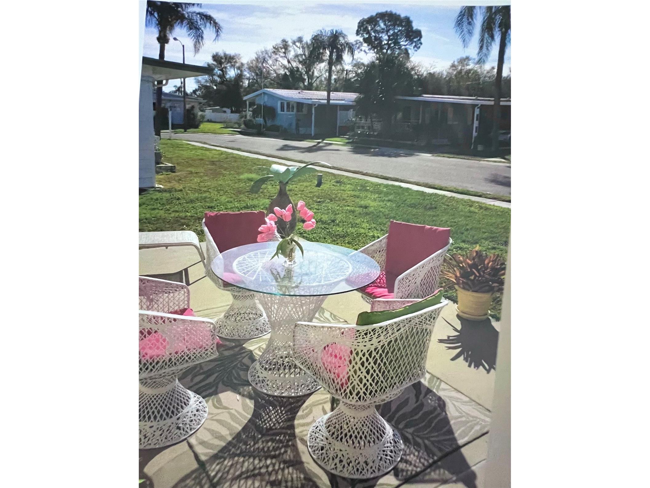 1100 Belcher Road S #245 Largo FL 33771 TB8465727 image3