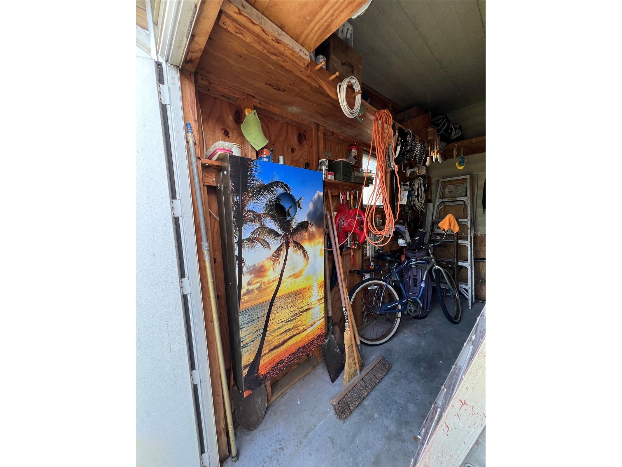 1100 Belcher Road S #245 Largo FL 33771 TB8465727 image40